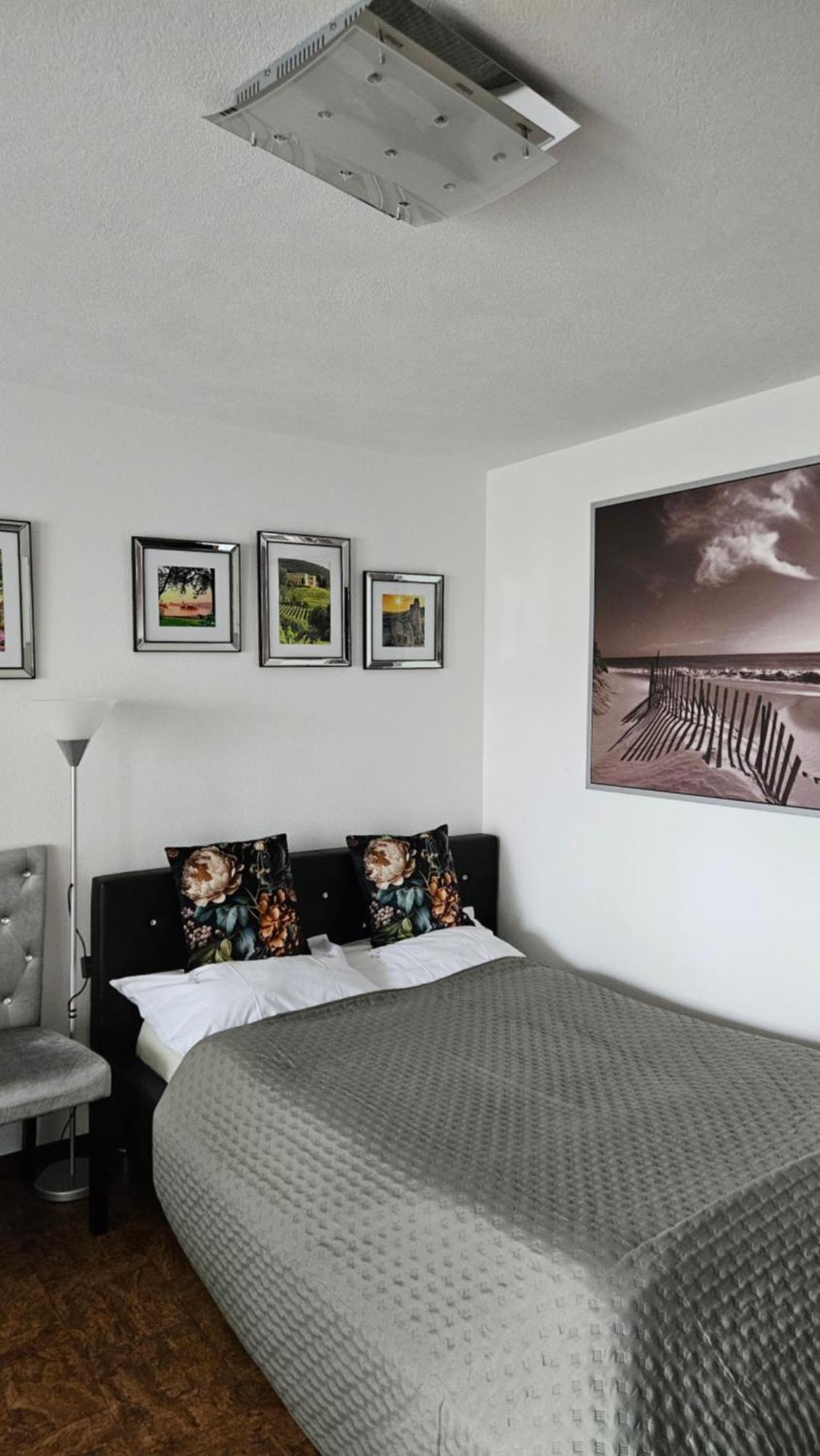 Apartment Ferienwohnung Bad Bergzabern